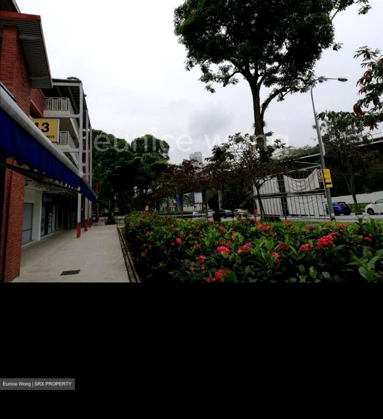 Blk 9 Holland Avenue (Queenstown), HDB 4 Rooms #406948381